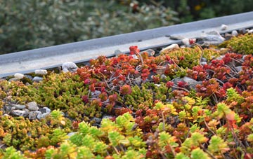 the cost of Washford green roof installation