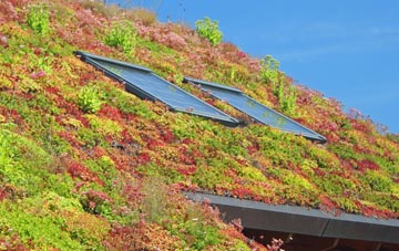 Washford living roof systems